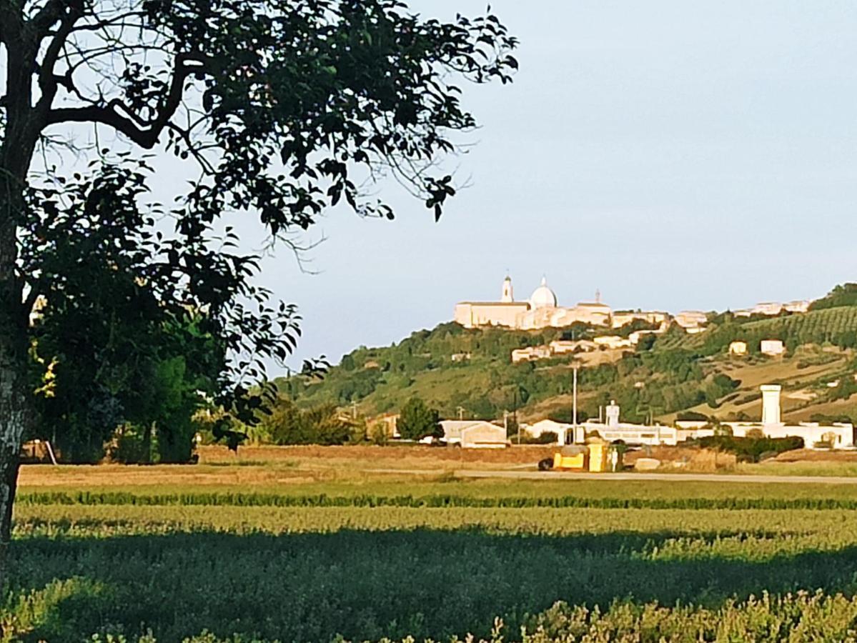 Il Cipresso Lägenhet Casa Saraceni Exteriör bild